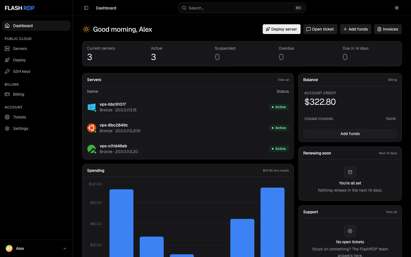 Billing Portal dashboard with servers, account credit and renewals